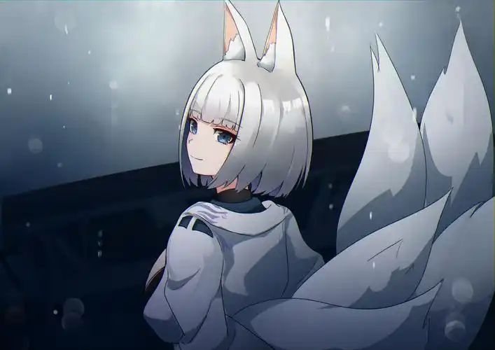 dear加贺碧蓝航线加贺