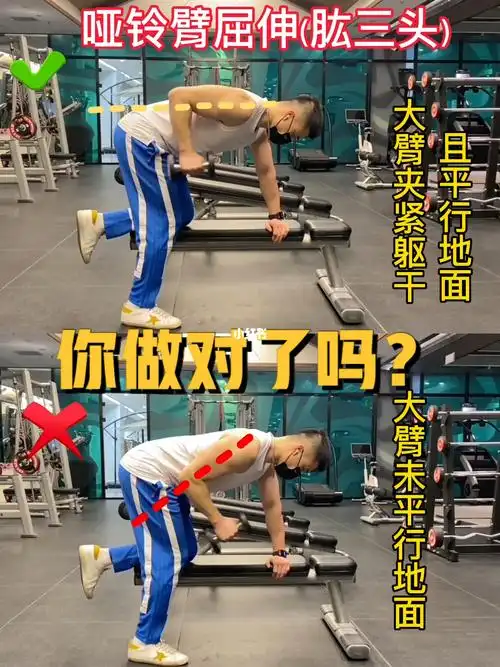 哑铃臂屈伸肱三头肌