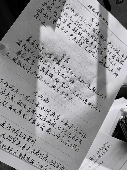 每次看别人写的字好好看要是早点学习书法