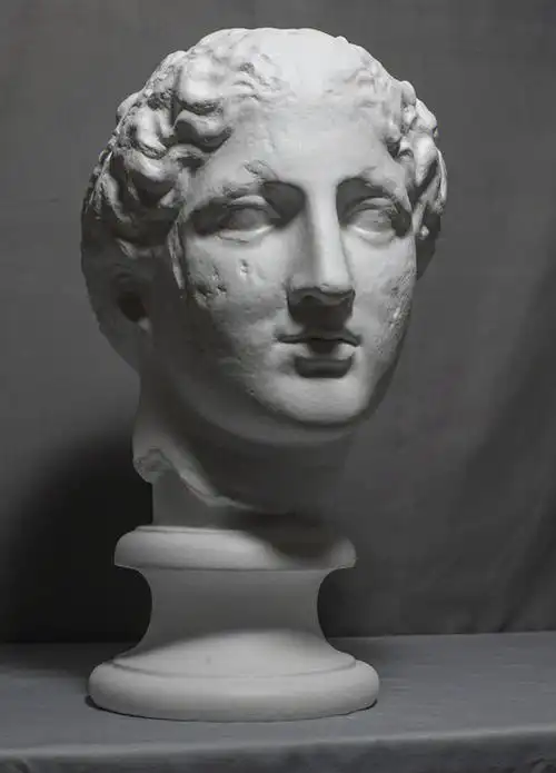 素描  #雕塑  #石膏像