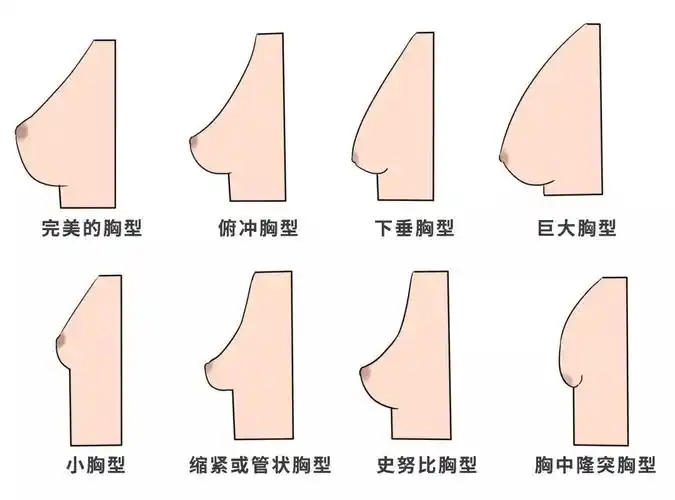 错了30年!关于「选内衣」的3个真相,95%女性不知道!_文胸