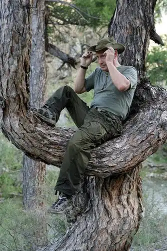 普京度假露宿野外 爬树骑马尽显"硬汉"形象(组图)