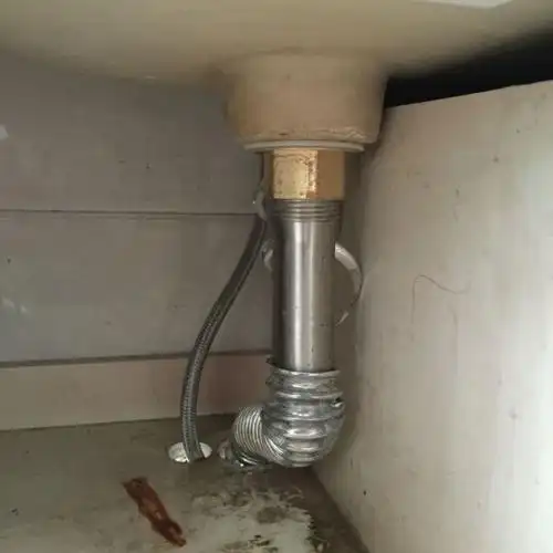 加厚洗脸盆面盆不锈钢下水器弹跳翻板洗手池台盆下水管防臭普通 下水