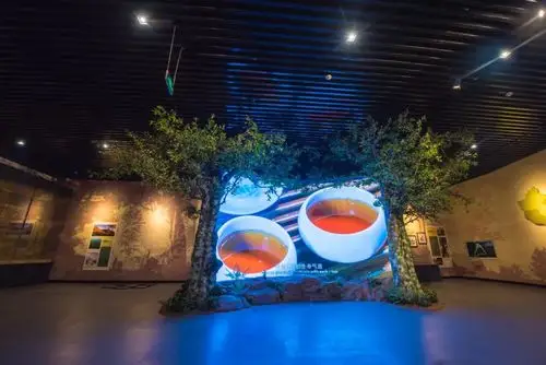 抢鲜看布置一新的普洱茶博物馆