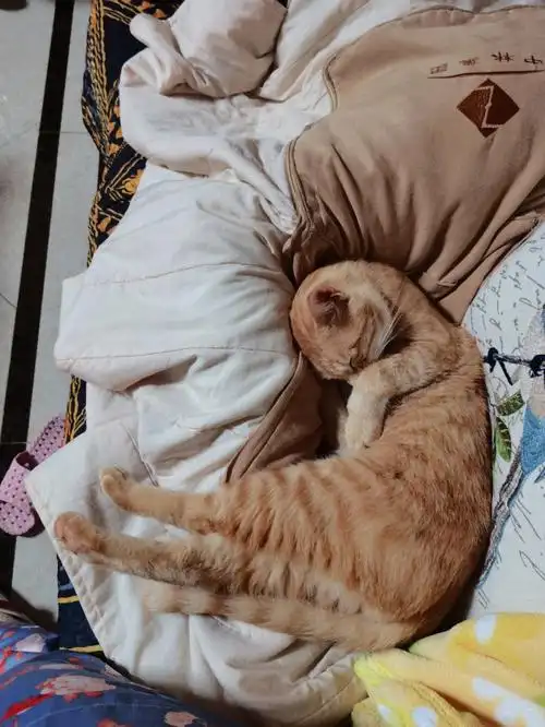 搞笑睡姿哈哈哈哈