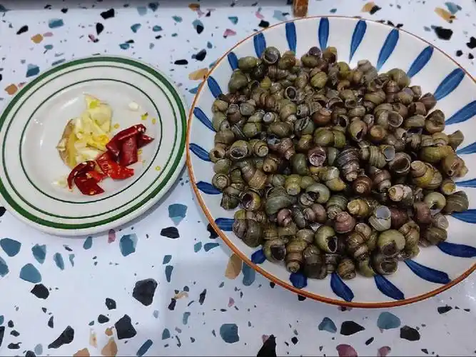 一日一食丨炒螺蛳
