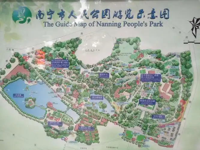 南宁市人民公园浅游