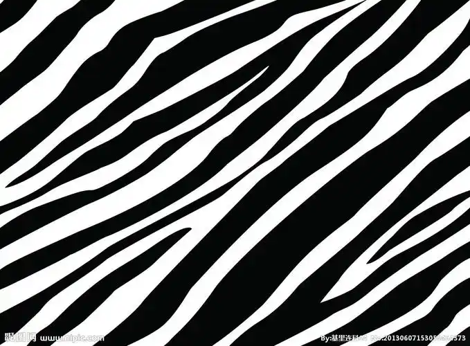 斑马纹图片