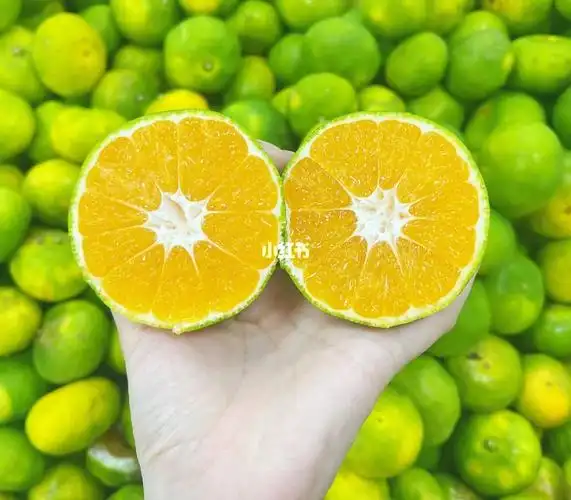 秋天的感觉甜蜜来袭——小蜜橘92|||这个秋天不在寒冷,有了蜜桔的