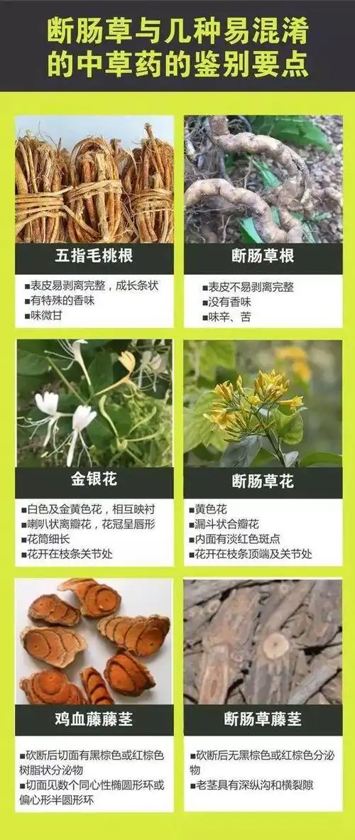 喝了妈妈煲的补汤,一家三口都进了医院!这东西很毒