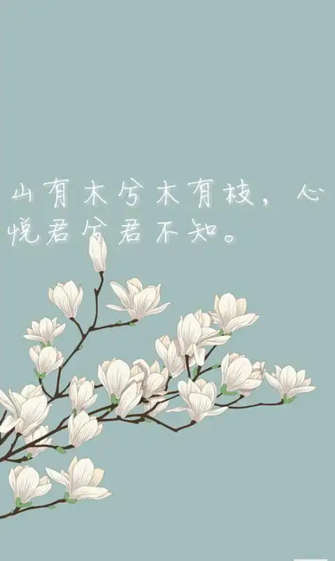 越人歌 山有木兮木有枝