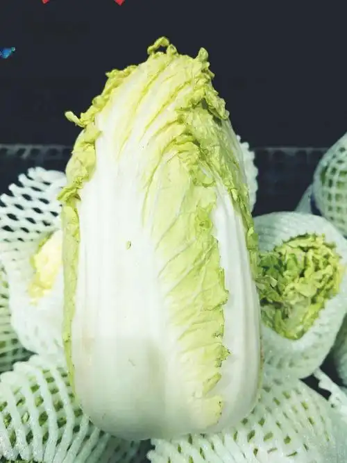 大娃娃菜0.98元一斤