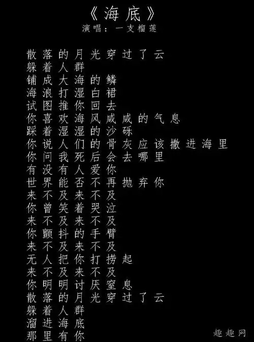 一支榴莲海底歌词等简介