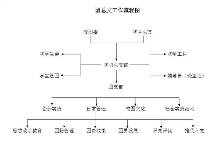 团总支工作流程图