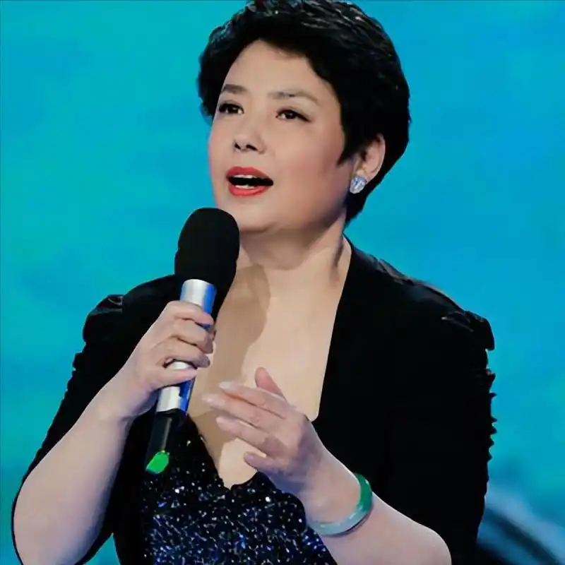 歌手,陈力,是长春一汽的化验员,拍摄红楼梦的时候,导演王扶林想找一个