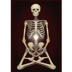 佛家结缘五门禅法白骨禅观图不净观想图画像相纸双面塑封挂画图