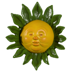 果冻向日葵动图搞怪gif动图_动态图_表情包下载_soogif