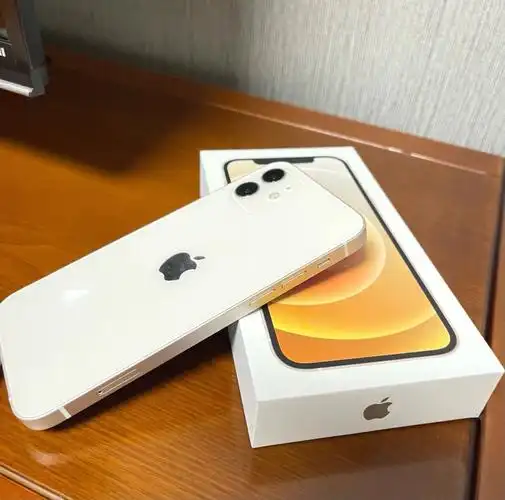 赶上双十一活动给妈妈在京东064999抢到了～#京东双十一  #苹果12