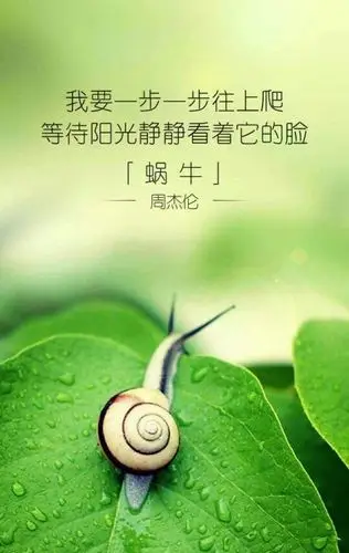 歌曲欣赏《蜗牛》