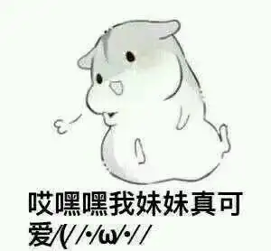 斗图表情包 - 斗图达人