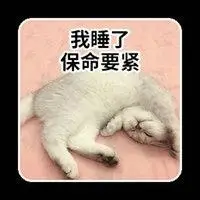 睡觉吧狗命重要表情包_微信头像图片大全