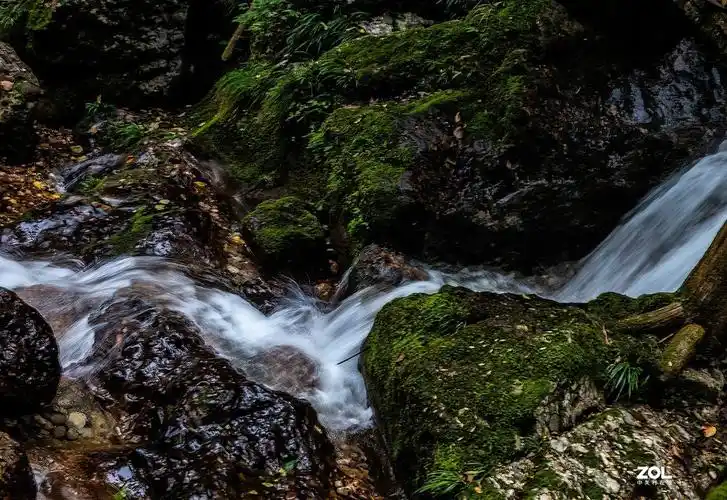 青城山后山飞泉沟1