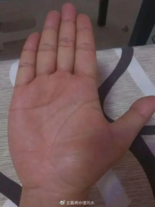 这种手相的人有官运天生就是当官的后期会晋升到大官