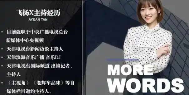 天津电视台新闻访谈主持人主视角老辉车品味栏目主持人