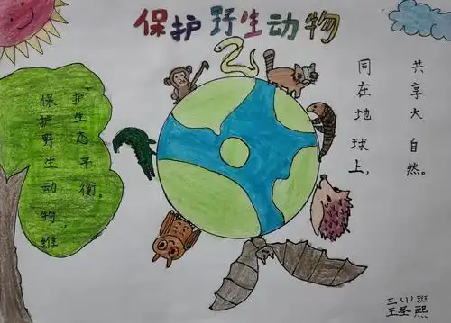 王圣熙  保护野生动物