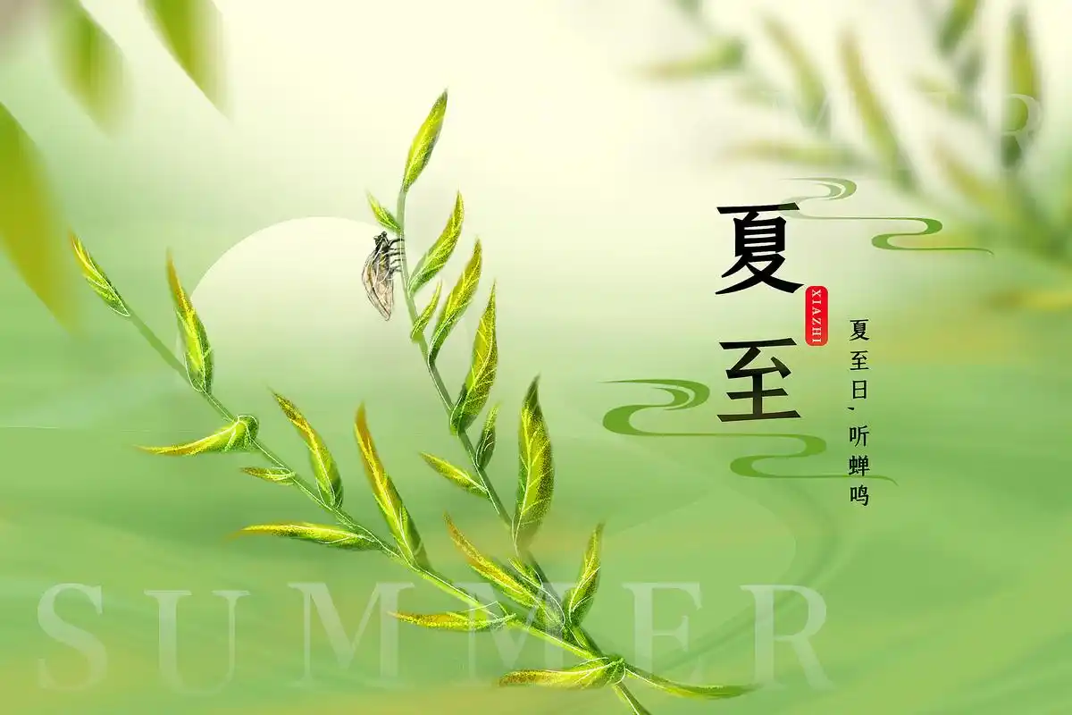 夏至节气图片大全