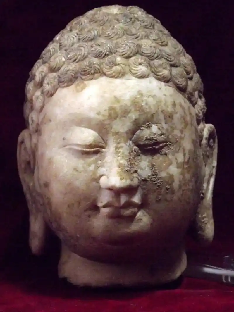 收藏品 北齐佛像大多面部表情宁静且慈爱,形神兼备,清雅静谧的风格是