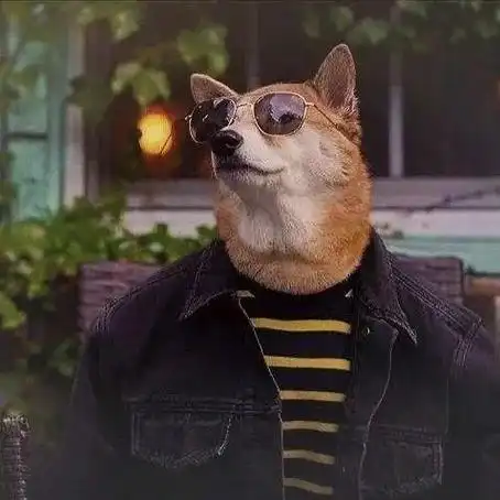 男生头像第21期柴犬可爱狗狗头像小狗狗的颜值挺上镜