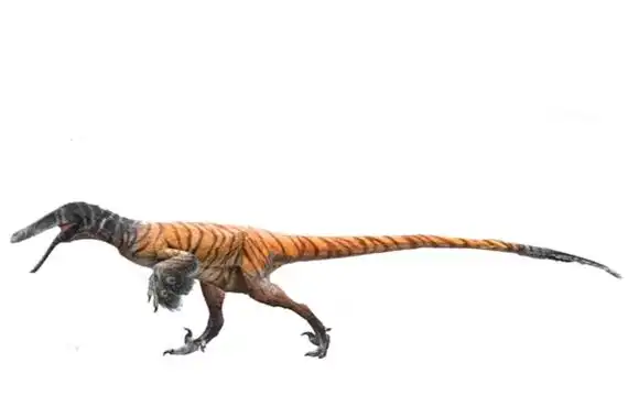 南方盗龙体态庞大的食肉性恐龙身长达560米