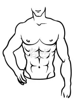 怎么画出好人体躯干初学者画人体躯干步骤图