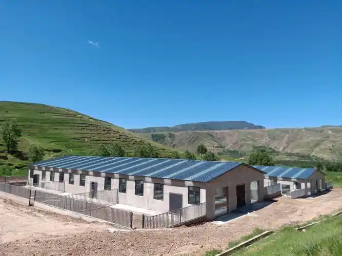 初步建成的羊棚