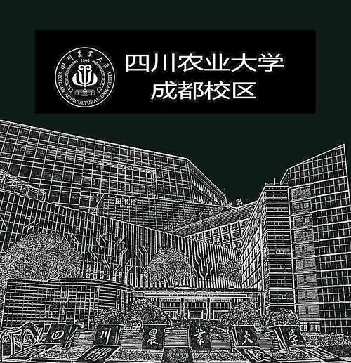 四川农业大学招贴画图片