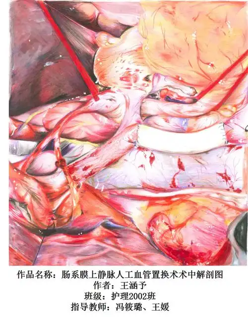 作品本次大赛有助于提升我校医学生综合素质,调动学生参与解剖学绘图