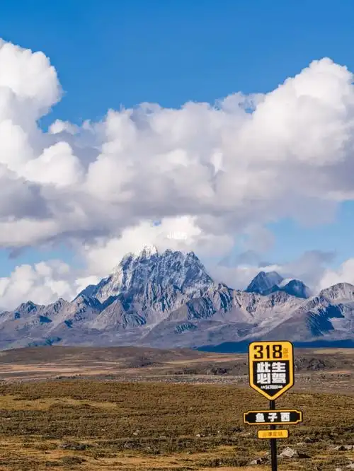 川西90丨鱼子西满足了我所有的想象