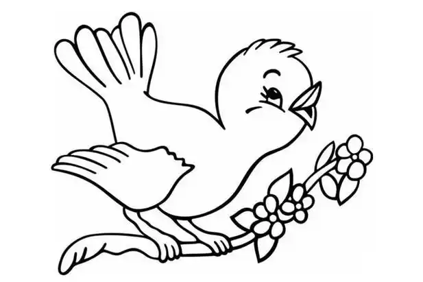 站在树枝上的小鸟简笔画画法