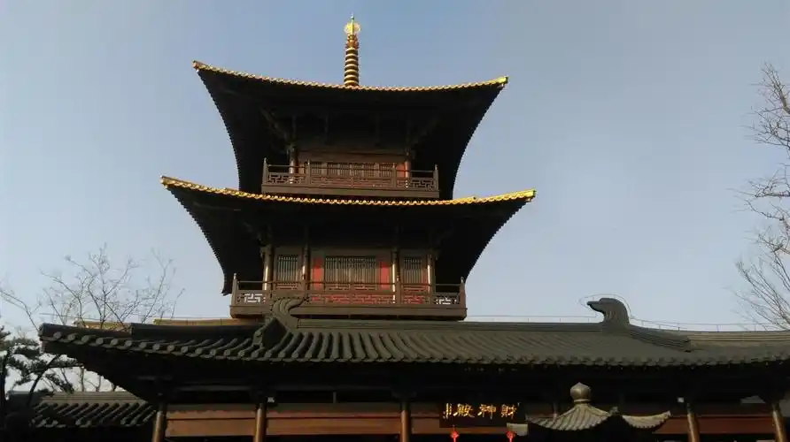 二o一七年元月二十二日老上海新松江人李松泉先生带着徐正江陈金华何