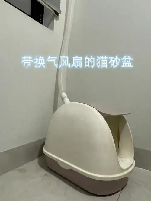 自制带换气的猫砂盆