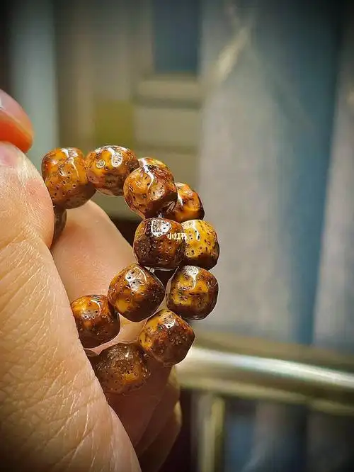 初见乍惊欢久处仍怦然虎皮陈籽星月菩提