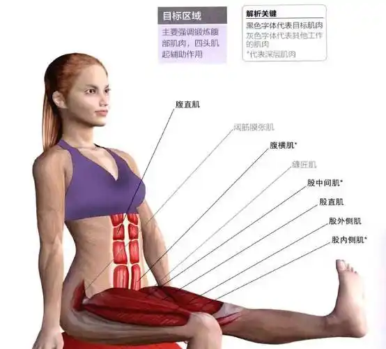 腹部拉伸与练习图解