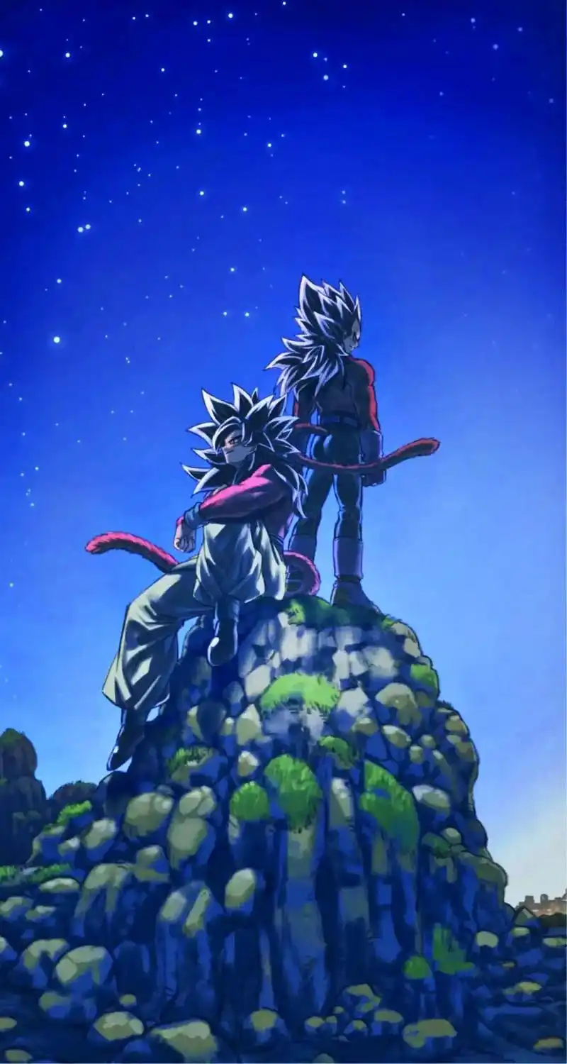 悟空与贝吉塔#龙珠图集 #龙珠壁纸 #卡卡罗特 #贝吉塔 - 抖音