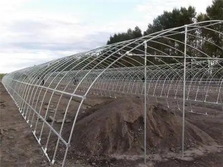 山东蔬菜大棚骨架