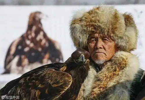 哈萨克斯坦年度猎人比赛举行实拍金雕雪地追捕狐狸