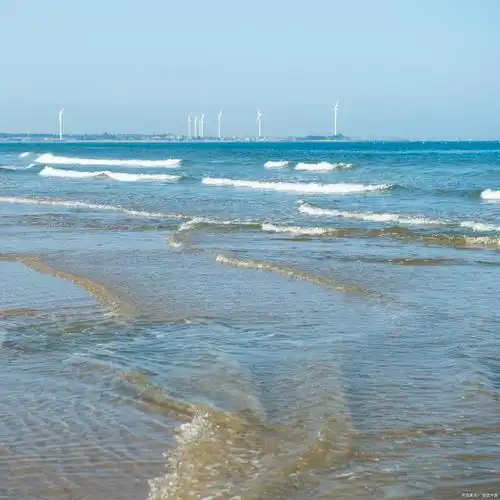 东营海边旅游:邂逅美丽海滨风光