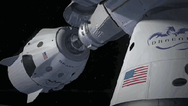 371_209gif 动态图 动图