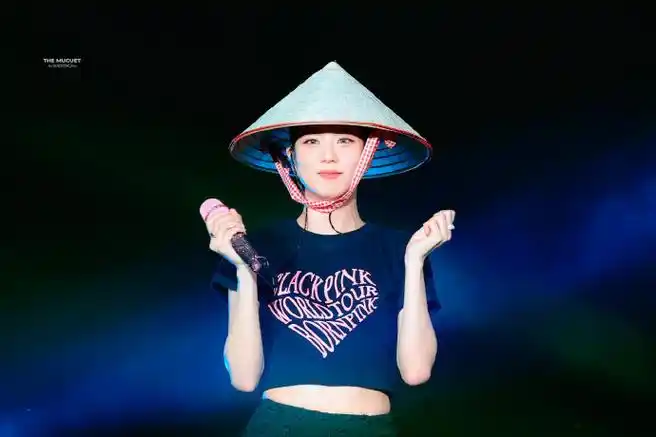 tm950103绝美的侧颜96韩国elle八月刊代go【金智秀_kimjisooecho】