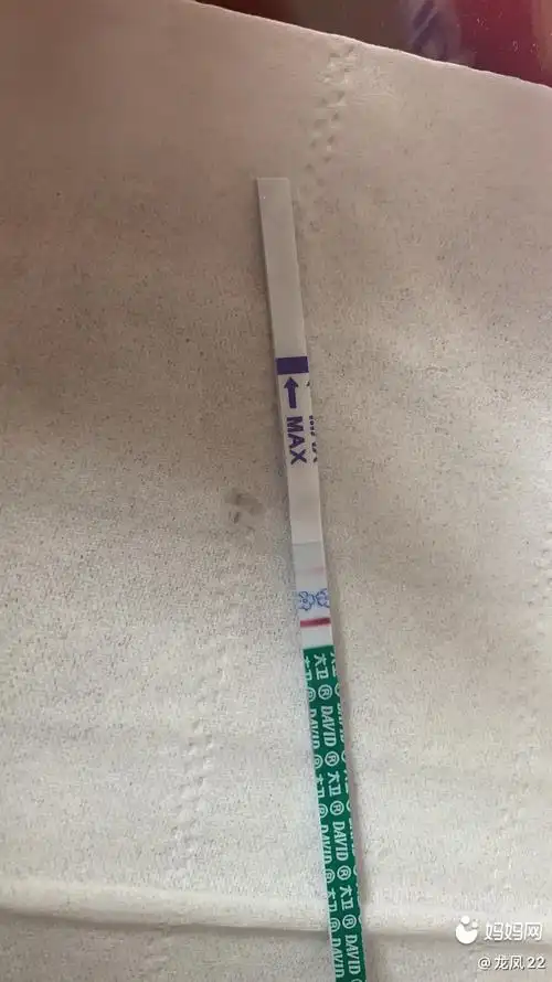 我用大卫的早孕试纸测得,请问怀孕了吗